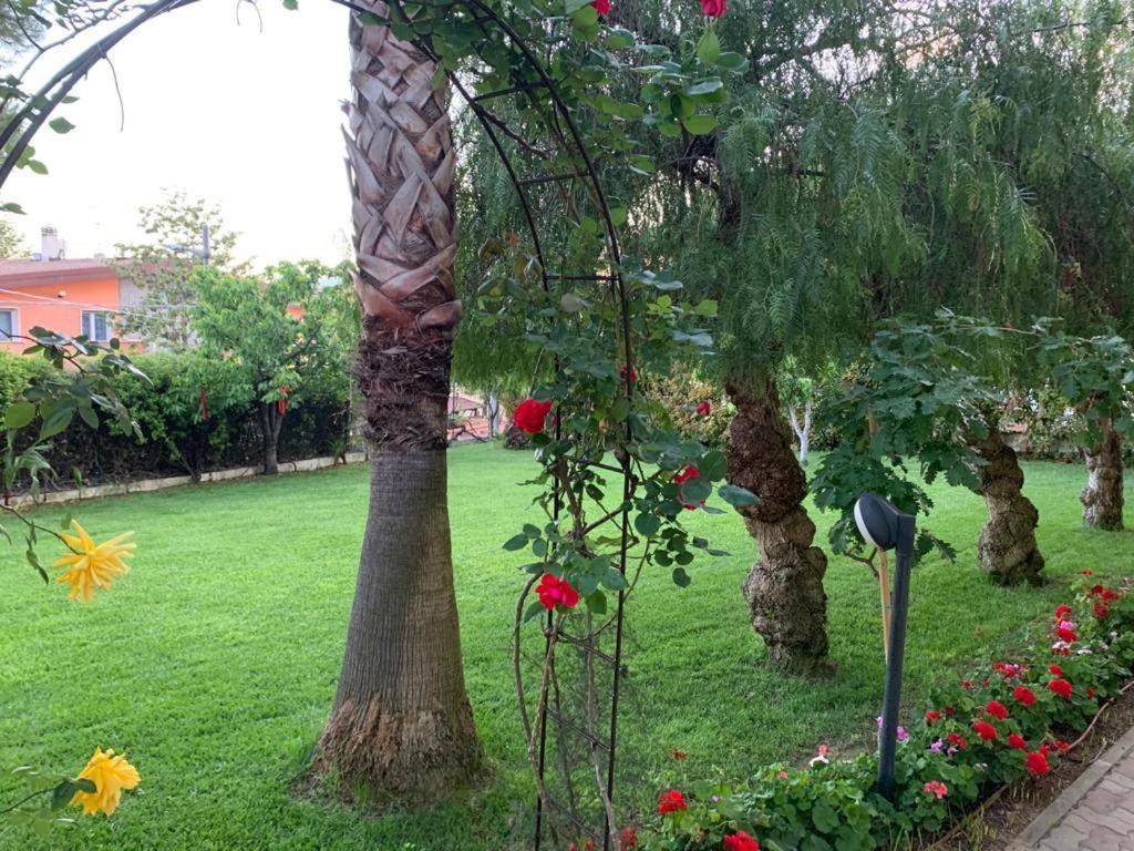 B&B The Garden Pescara Exterior foto