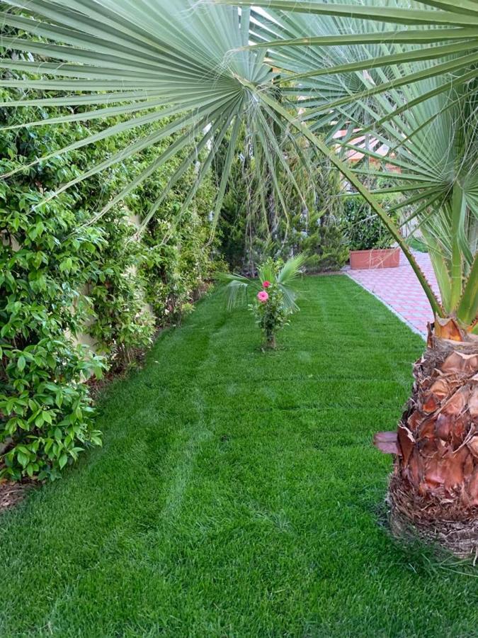 B&B The Garden Pescara Exterior foto